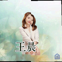 王晨